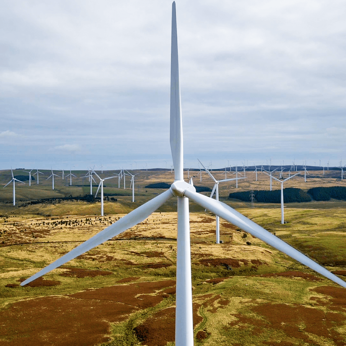 Crystal Rig III Limited