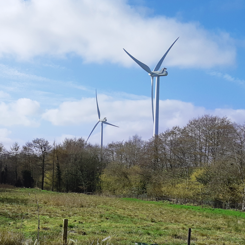 Den Brook Energy Limited